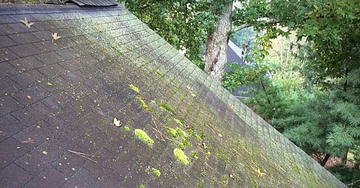 tile roof cleaning - oct 2015