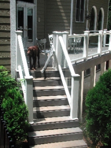 New Railing and Stairs